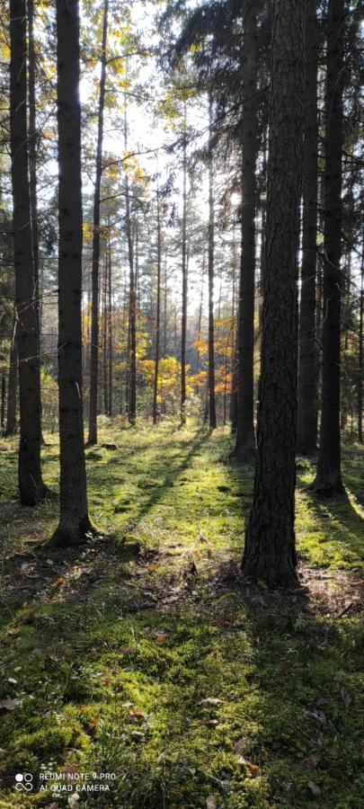 Willa sosnowa.stodola Hajnówka Zewnętrze zdjęcie